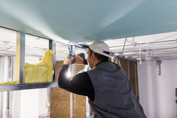 Best Residential Insulation in Riverview, MO